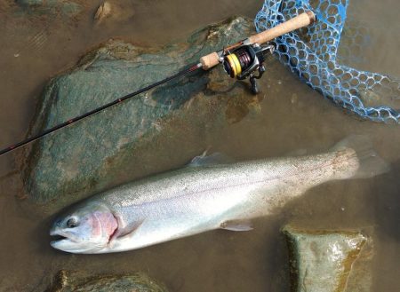 ニューロッド入魂！ ～天竜川ルアーフライ専用区～